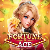 Fortune X VIP